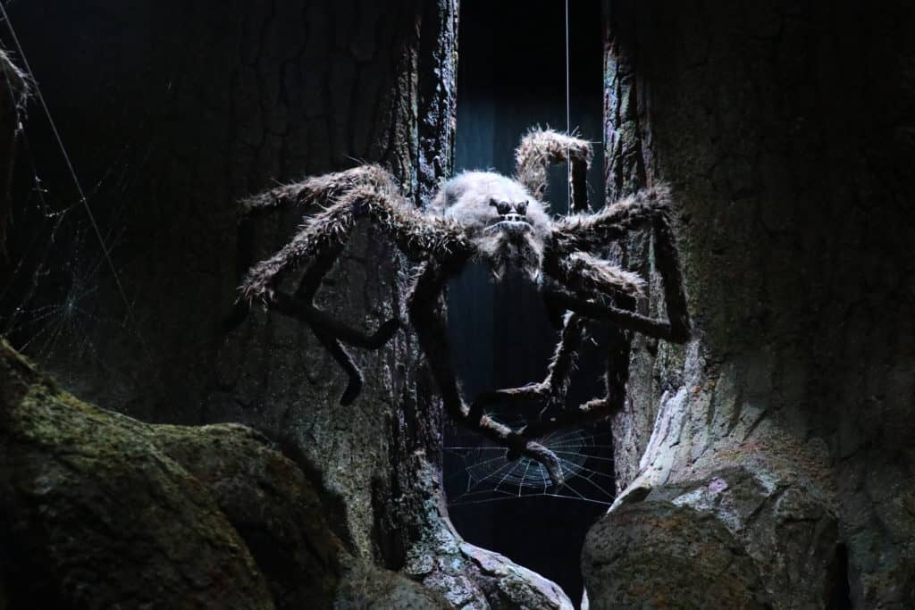 Agromantula, eine der Spinnen im Verbotenen Wald seilt sich ab in den Filmstudios