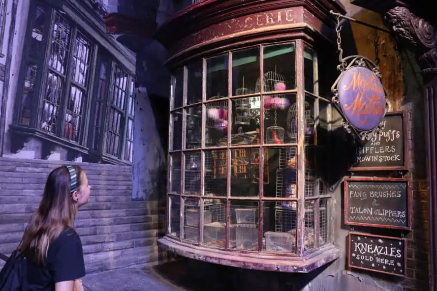 Harry Potter Studio Tour London: Alles, was du wissen musst