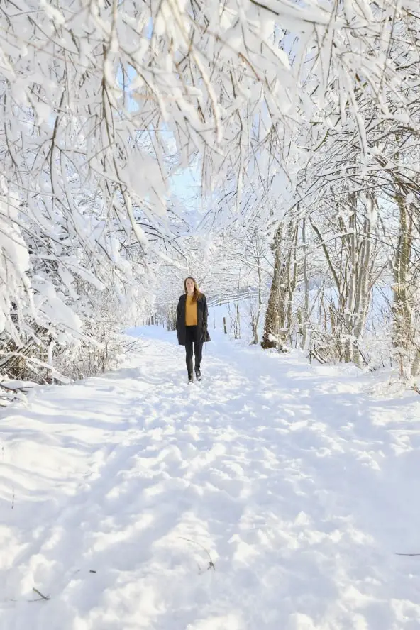 Fotografietipps: Winterlandschaft und Schnee fotografieren
