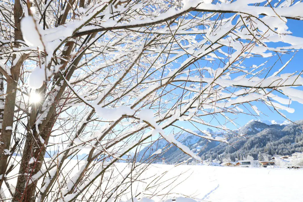 Fotografietipps: Winterlandschaft und Schnee fotografieren