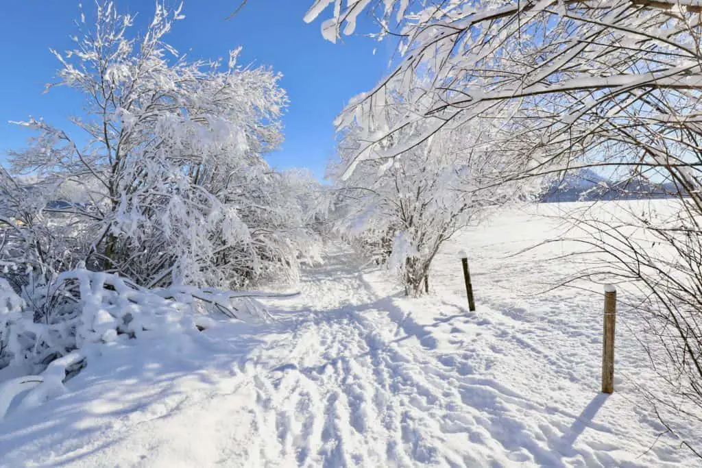 Fotografietipps: Winterlandschaft und Schnee fotografieren