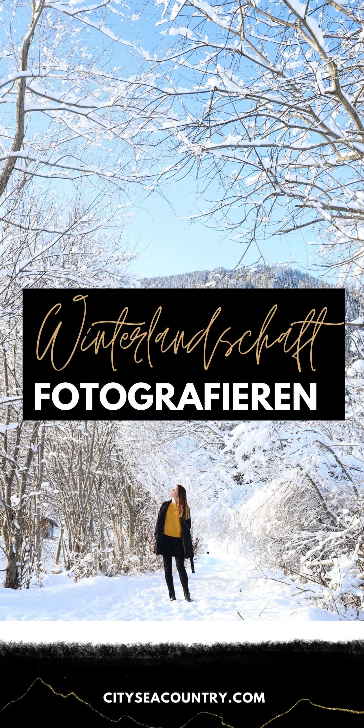 Winterlandschaft fotografieren: Fototipps für Schnee und Eis