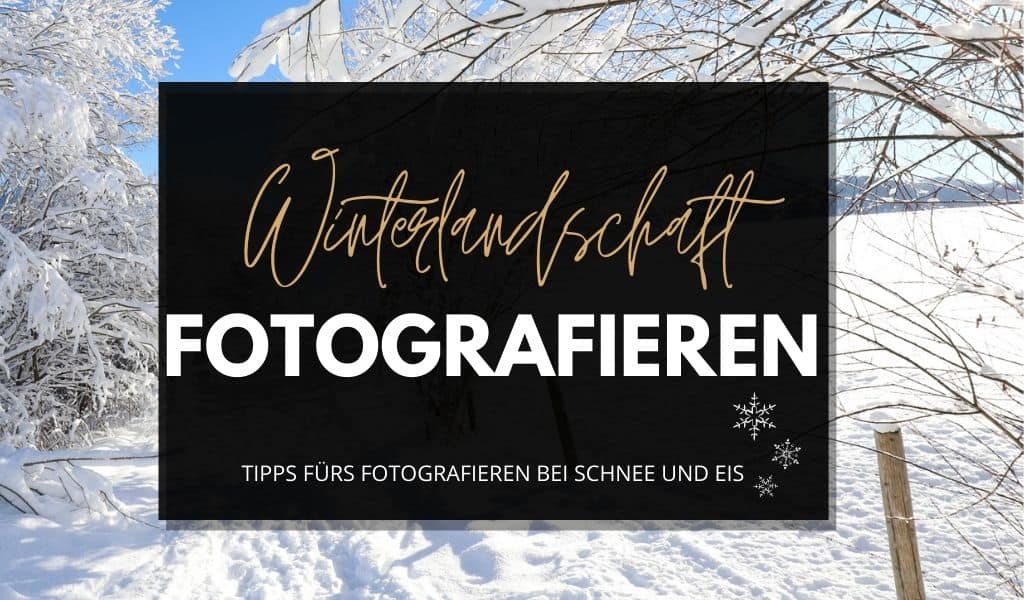 Winterlandschaft fotografieren: Fototipps für Schnee und Eis