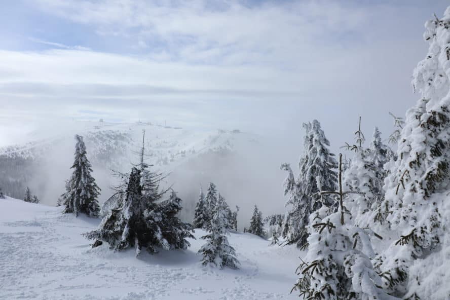 Winterurlaub in Serbien: Ski fahren am Dach von Serbien in Koaponik