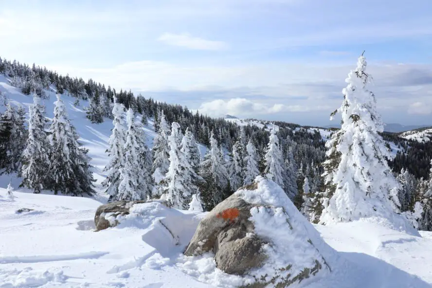 Winterurlaub in Serbien: Ski fahren am Dach von Serbien in Koaponik