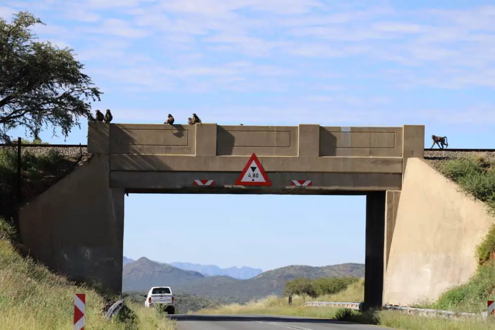 Namibia Rundreise Selbstfahrer: 14 Tage Reiseverlauf mit Sehenswürdigkeiten