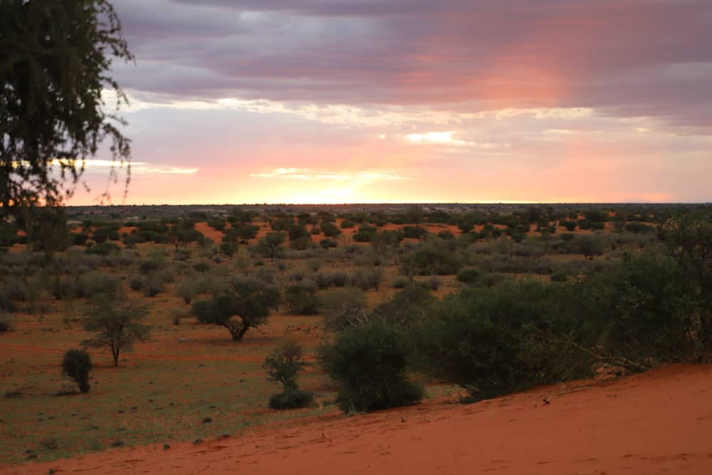 Namibia Rundreise Selbstfahrer: 14 Tage Reiseverlauf mit Sehenswürdigkeiten