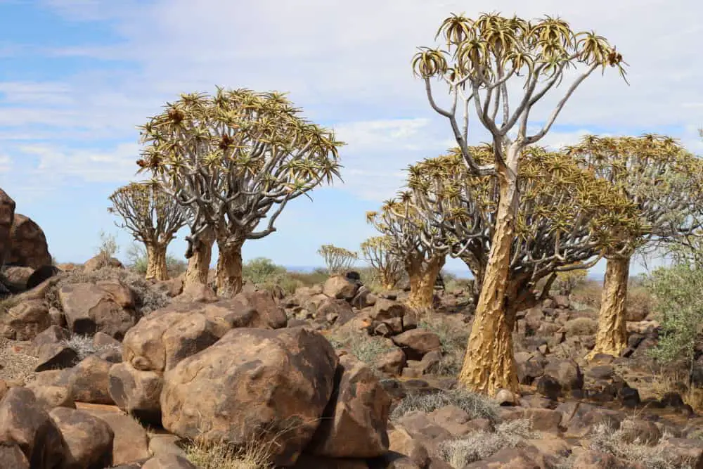 Namibia Rundreise Selbstfahrer: 14 Tage Reiseverlauf mit Sehenswürdigkeiten
