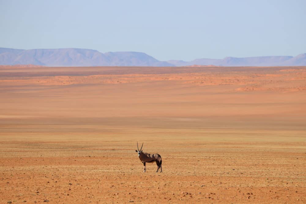 Namibia Blog mit Reiseberichten, Tipps und Sehenswürdigkeiten