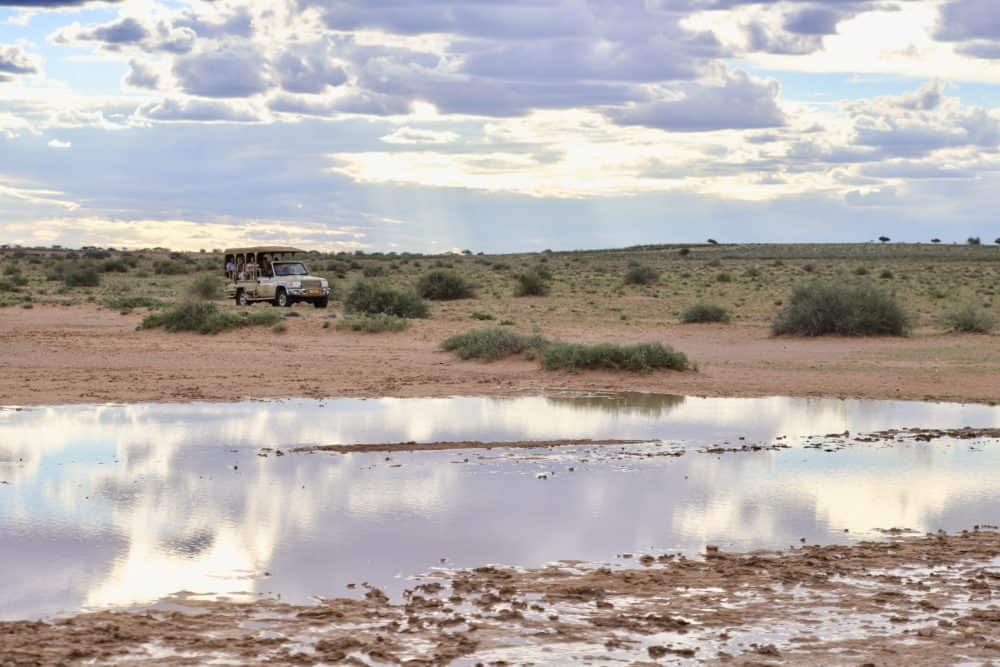 Namibiareise: Dies ist die beste Reisezeit für Namibia