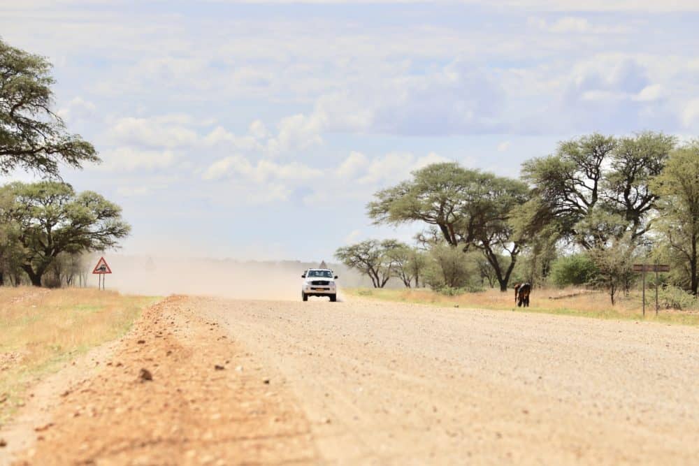 Gelbe Schotterstraße mit entgegenkommendem Pickup sowie Bäumen sind in Namibia vorherrschend.
