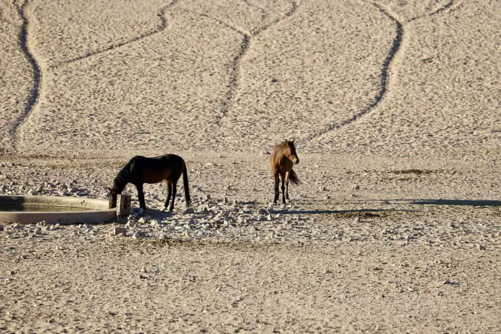 Namibia Rundreise Selbstfahrer: 14 Tage Reiseverlauf mit Sehenswürdigkeiten