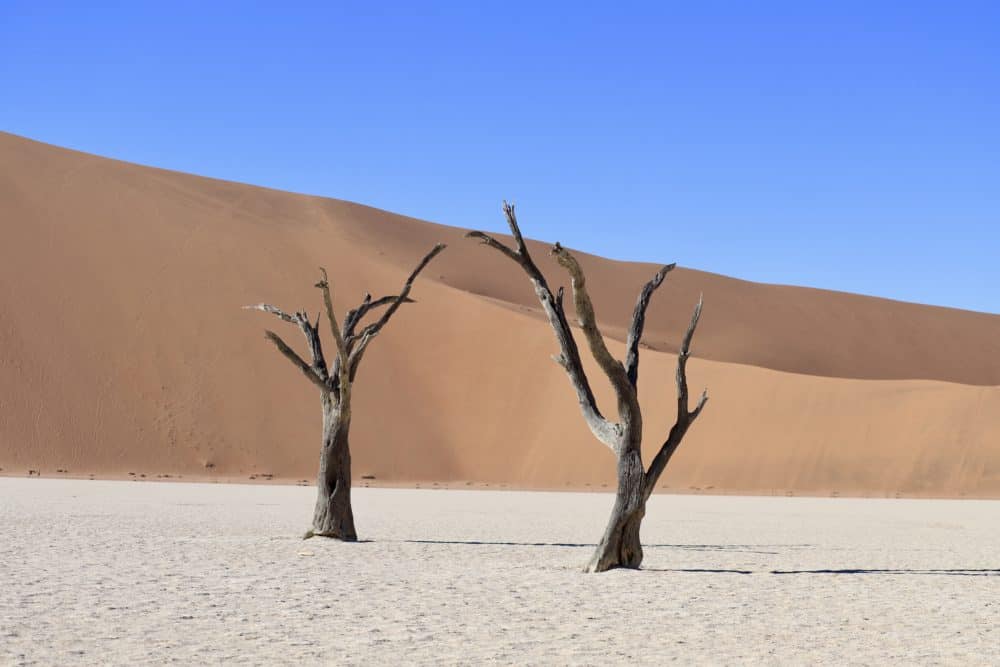 Sossusvlei Namibia: Im Angesicht der größten Düne der Welt