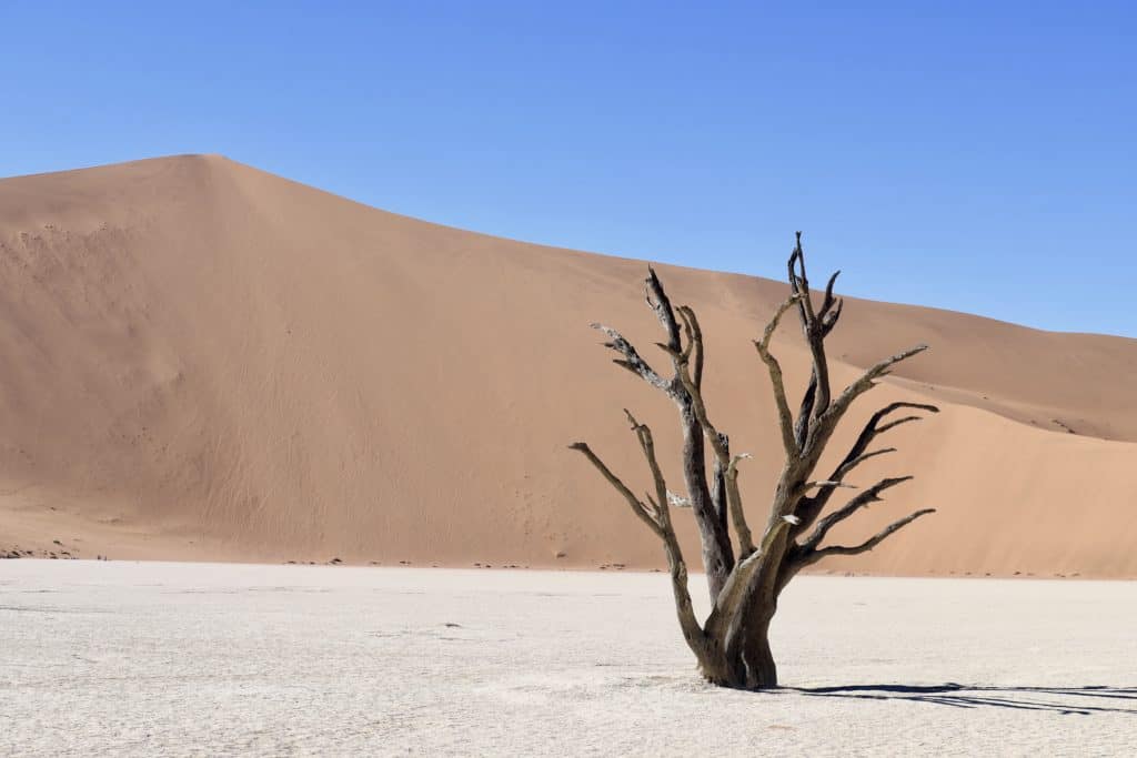 Sossusvlei Namibia: Im Angesicht der größten Düne der Welt