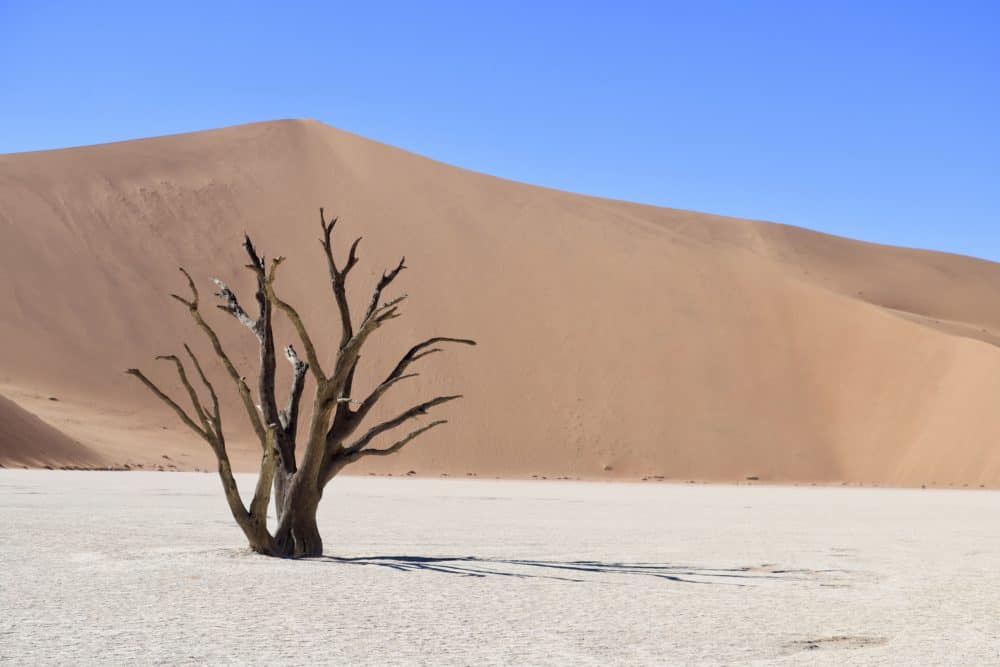 Namibia Reisetipps: Die schönsten Sehenswürdigkeiten und Fotostopps in Namibia