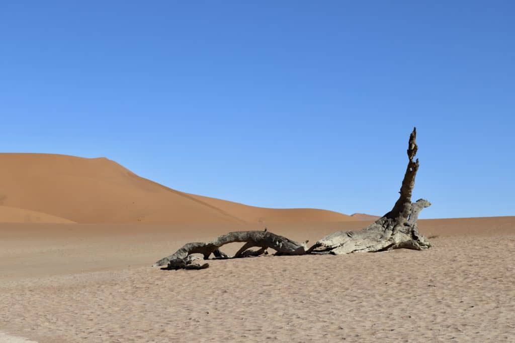 Sossusvlei Namibia: Im Angesicht der größten Düne der Welt