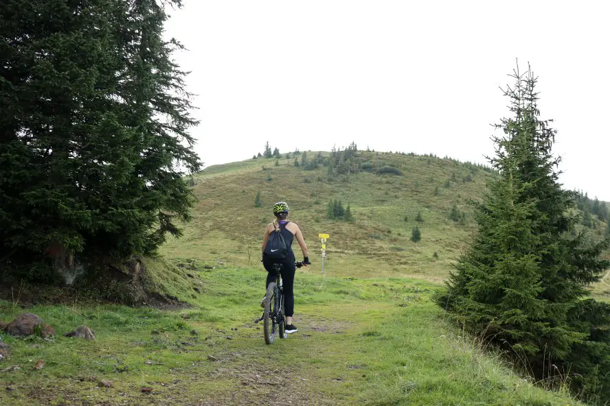 In der ersten vegan zertifizierten Region Österreichs unterwegs