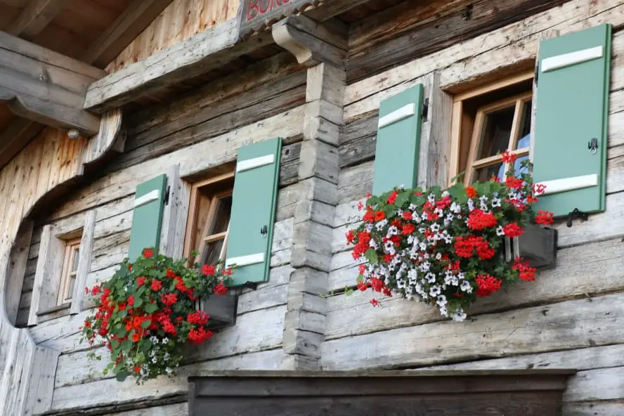 In der ersten vegan zertifizierten Region Österreichs unterwegs