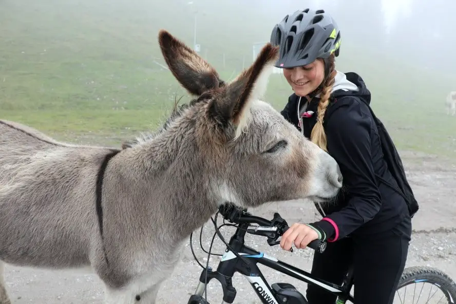 In der ersten vegan zertifizierten Region Österreichs unterwegs