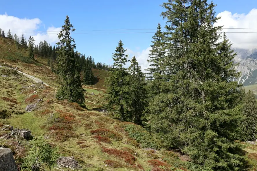 In der ersten vegan zertifizierten Region Österreichs unterwegs