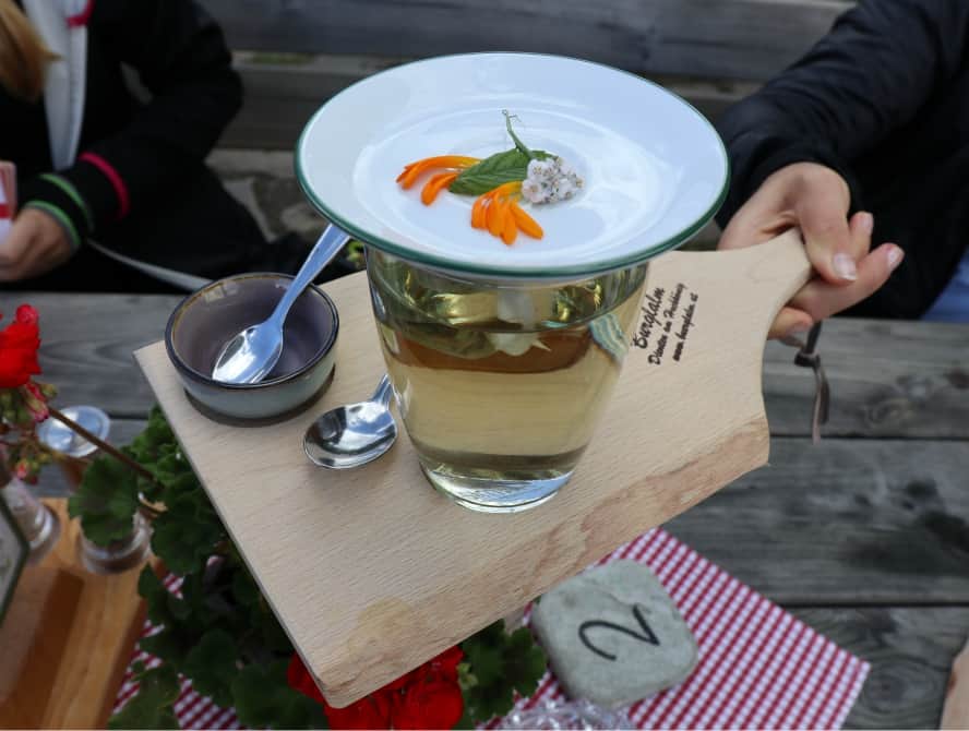 In der ersten vegan zertifizierten Region Österreichs unterwegs