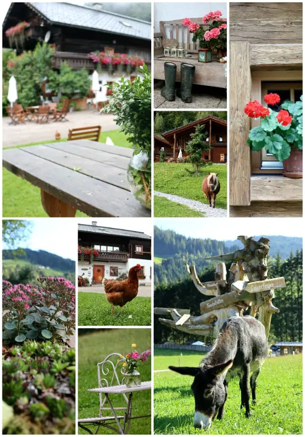 Urlaub am Bauernhof im Luxus-Chalet (Salzburger Land, Österreich)