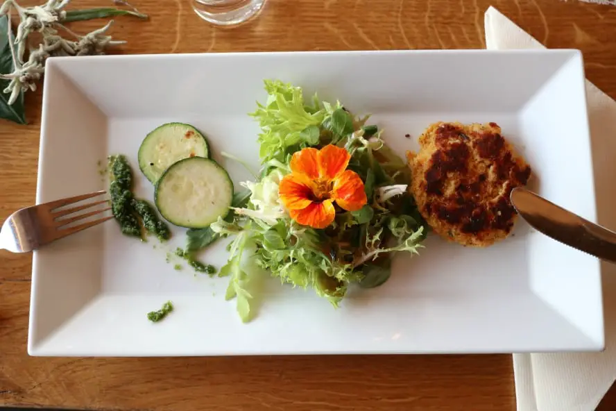 In der ersten vegan zertifizierten Region Österreichs unterwegs