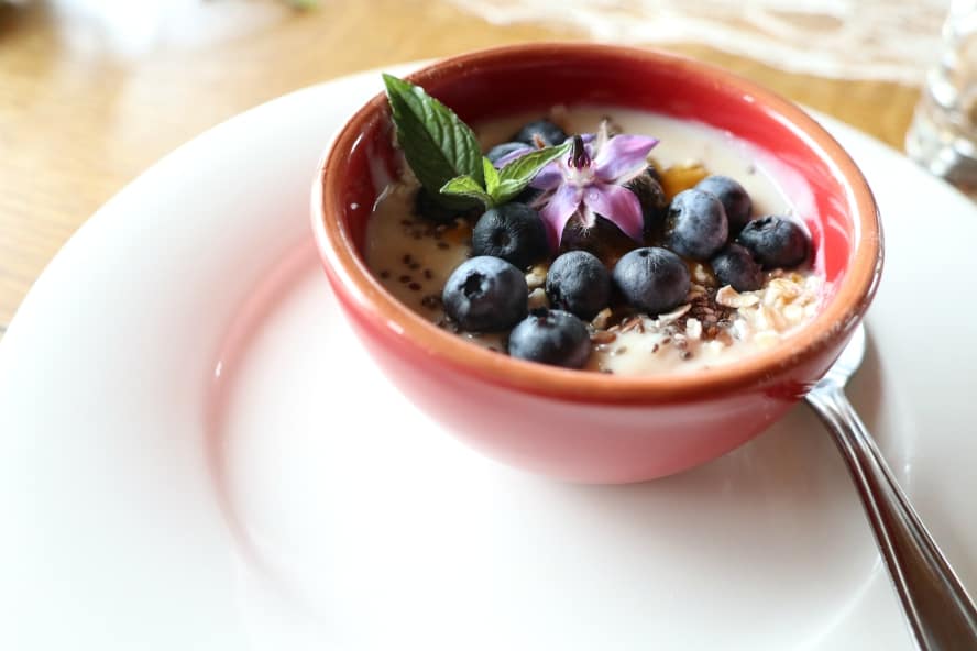 In der ersten vegan zertifizierten Region Österreichs unterwegs