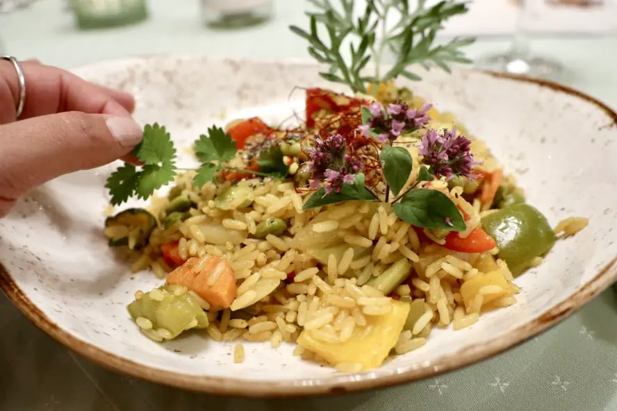 In der ersten vegan zertifizierten Region Österreichs unterwegs