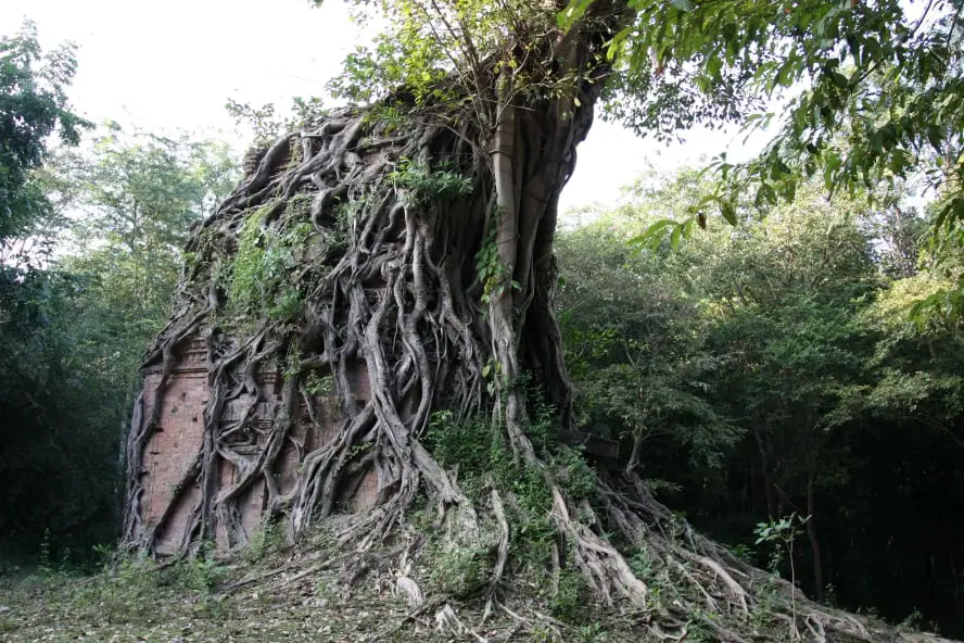Kambodscha Sehenswürdigkeiten: Die Top 10 abseits von Angkor Wat