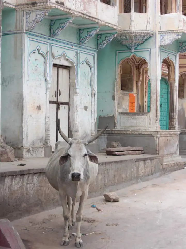 Reisevorbereitung Indien: Visum, Packen und Co.