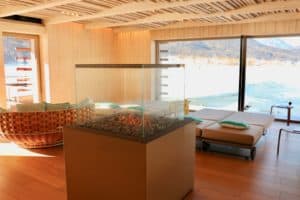 Wellness am See: Im 1. vegetarisch und vegan geführten 4 Sterne-Superior-Hotel Österreichs