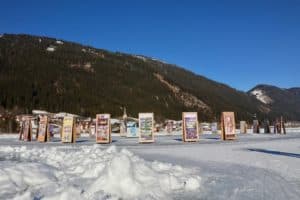 Wellness am See: Im 1. vegetarisch und vegan geführten 4 Sterne-Superior-Hotel Österreichs