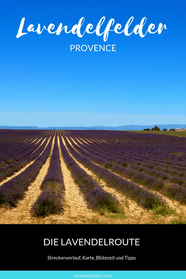 Lavendelfelder der Provence - Entlang der Lavendelroute im Süden Frankreichs