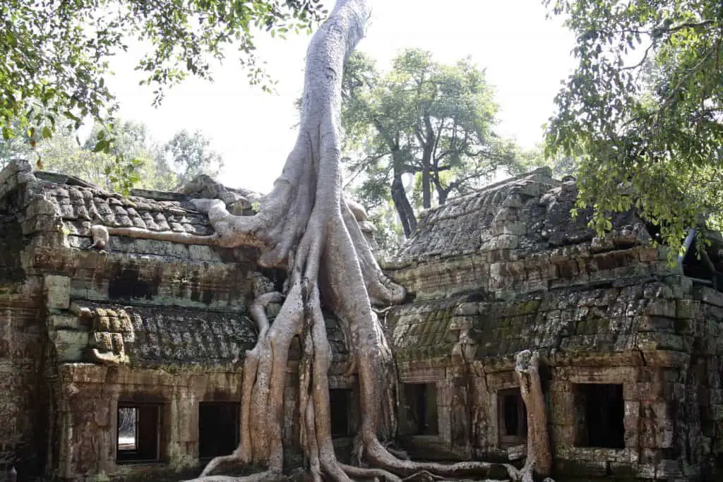 Angkor Wat & Co. - Dies sind die schönsten Kambodscha Tempel 