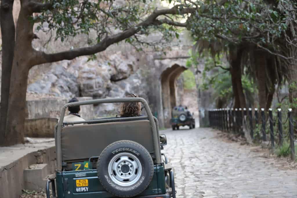 Indien Rundreise: Rajasthan Rundreise Reisebericht