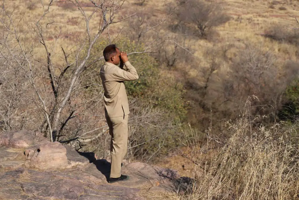Indien: Auf Tiger Safari im Ranthambore Nationalpark