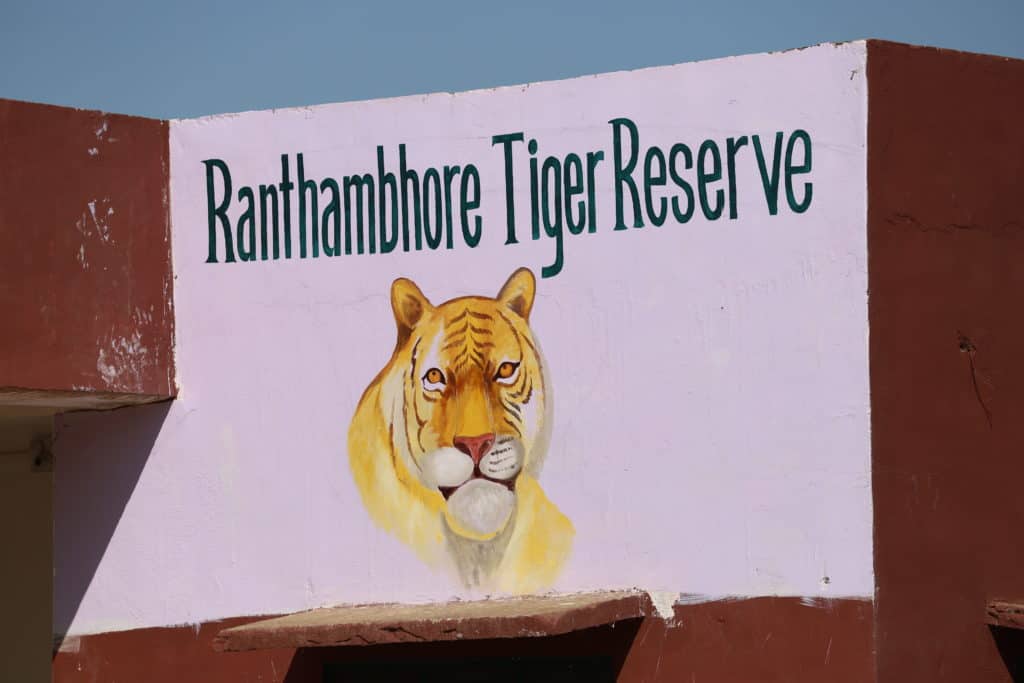 Indien: Auf Tiger Safari im Ranthambore Nationalpark