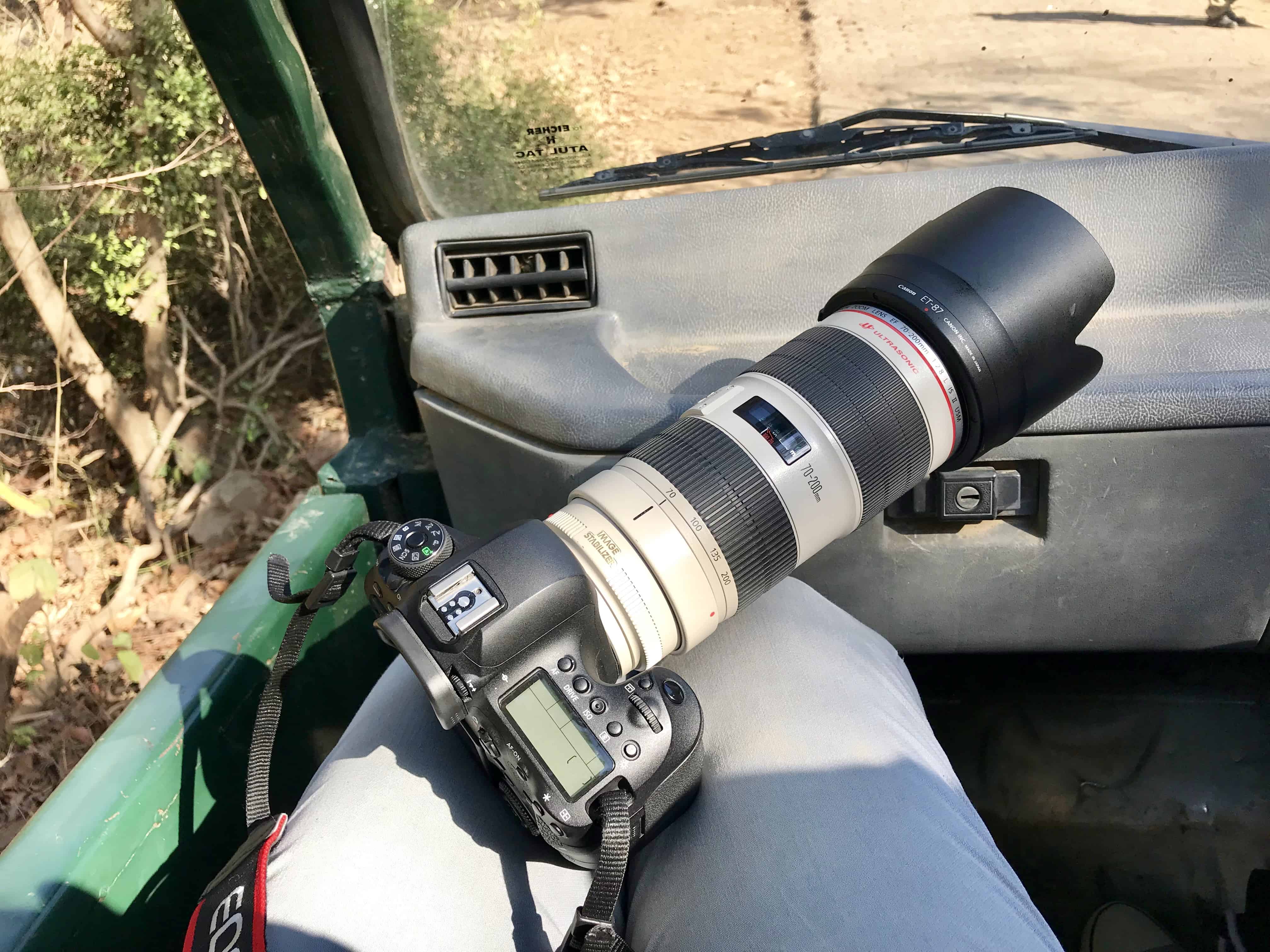 Fotografieren auf Reisen: Safari und Wildtierfotografie