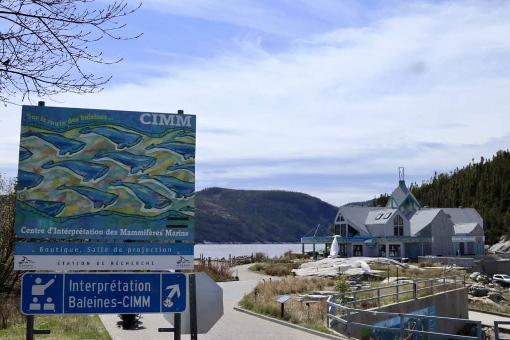 Kanada: Walbeobachtung in Québec