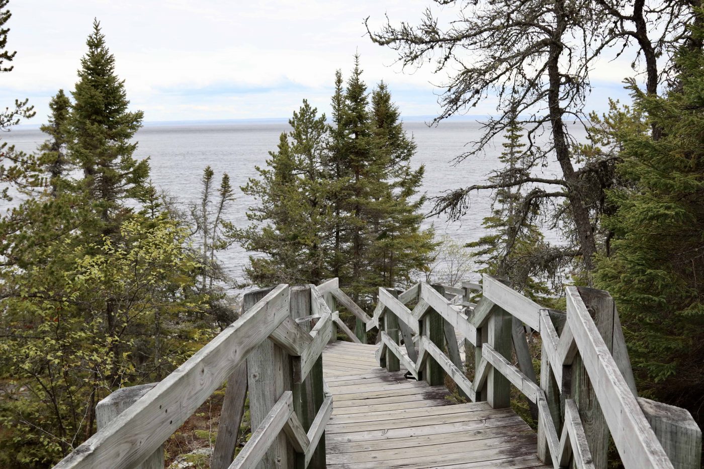wooden path along the pointe d'islet trail in Tadoussac with a view of the St. Lawrence River