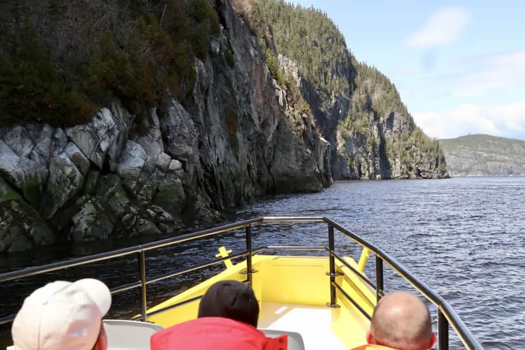 Guide To Whale Watching in Tadoussac, Canada