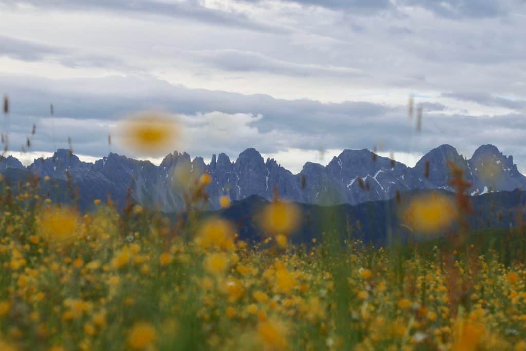 Wandern in den Alpen: Weitwanderweg Innsbruck Trek