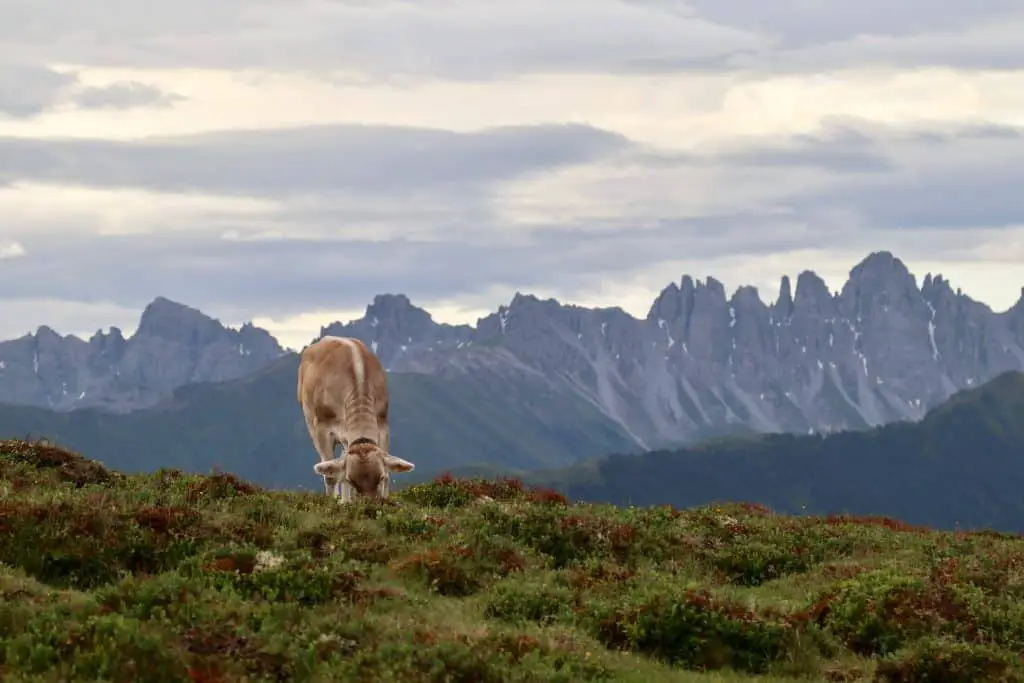 Wandern in den Alpen: Weitwanderweg Innsbruck TrekWandern in den Alpen: Weitwanderweg Innsbruck TrekWandern in den Alpen: Weitwanderweg Innsbruck Trek