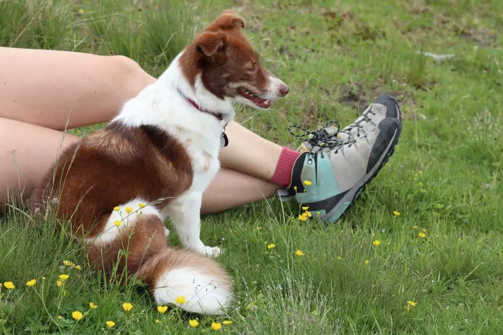 Wandern in den Alpen: Weitwanderweg Innsbruck Trek