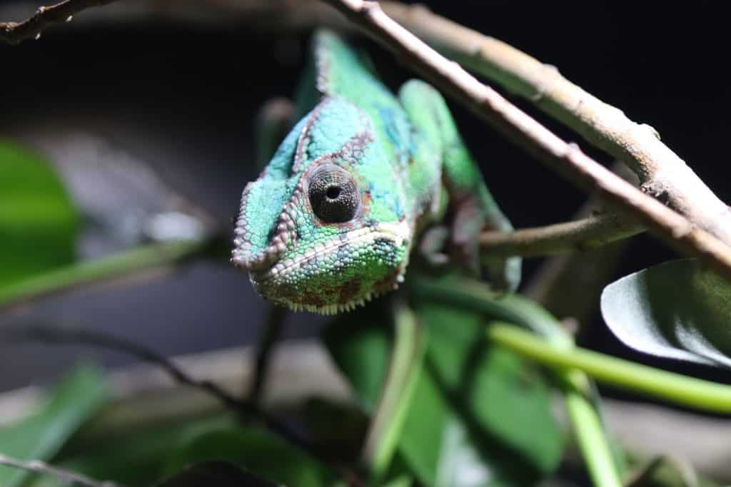 Fotografieren auf Reisen: Canon EOS 90D im Test