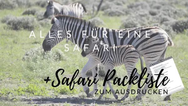 Südafrika Safari planen: Infos & Tipps zu Parks, Lodges, Reisezeit, Kosten...