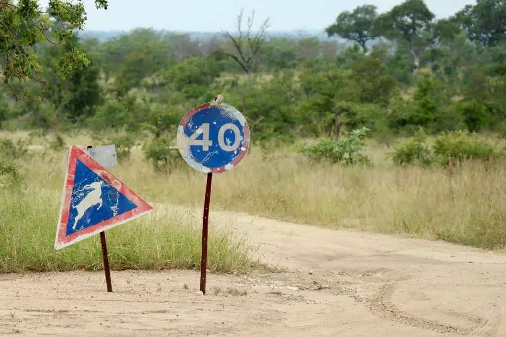 Südafrika Safari planen: Infos & Tipps zu Parks, Lodges, Reisezeit, Kosten...