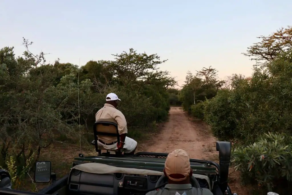 Südafrika Safari planen: Infos & Tipps zu Parks, Lodges, Reisezeit, Kosten...
