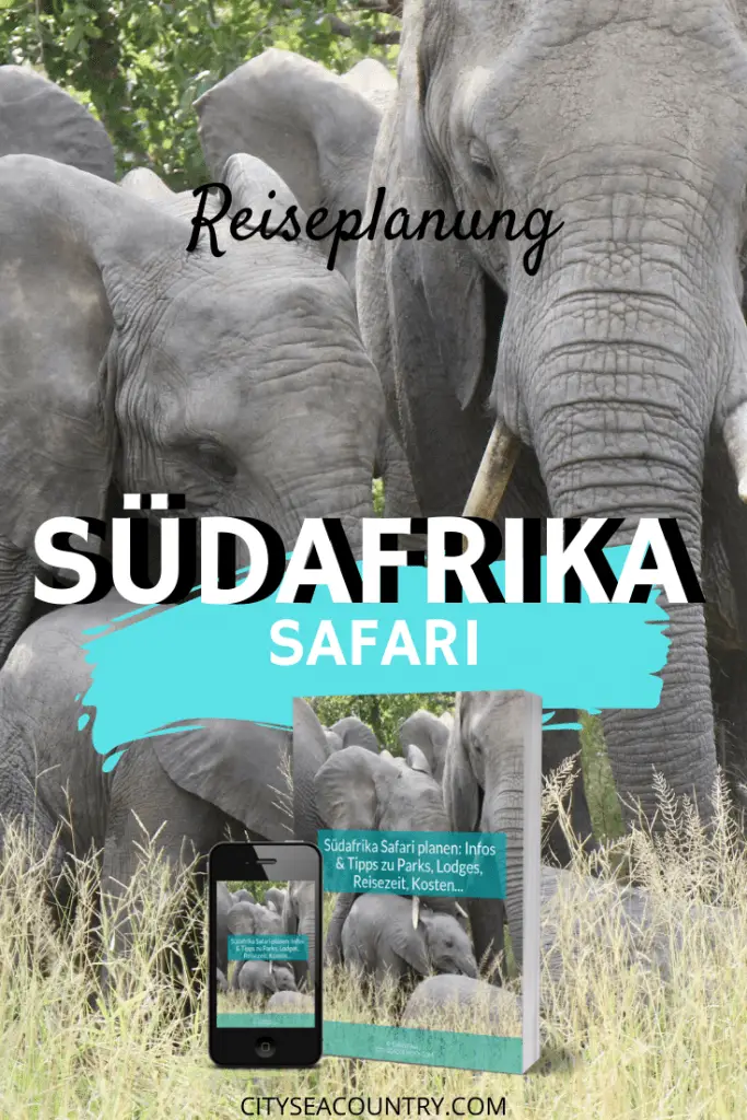 Südafrika Safari planen: Infos & Tipps zu Parks, Lodges, Reisezeit, Kosten...